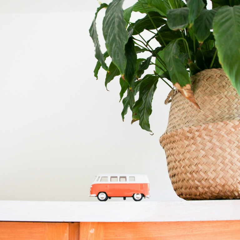 Picture of an indoor pot plant in a woven basket next to a miniature white and orange VW camper van