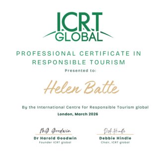 UX Design Institute certification logo